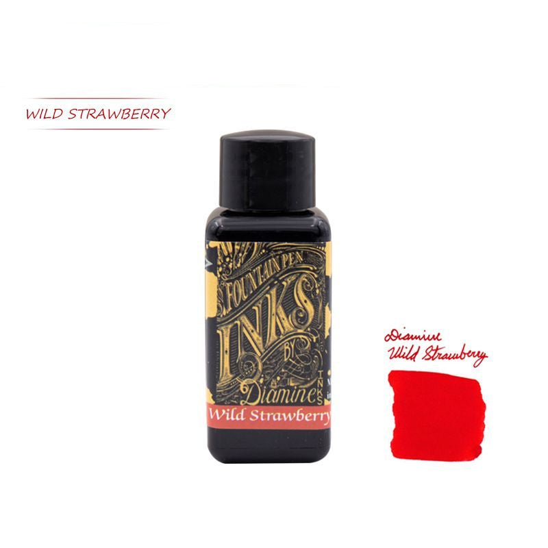Diamine Bottled Fountain Pen Ink 30ml
