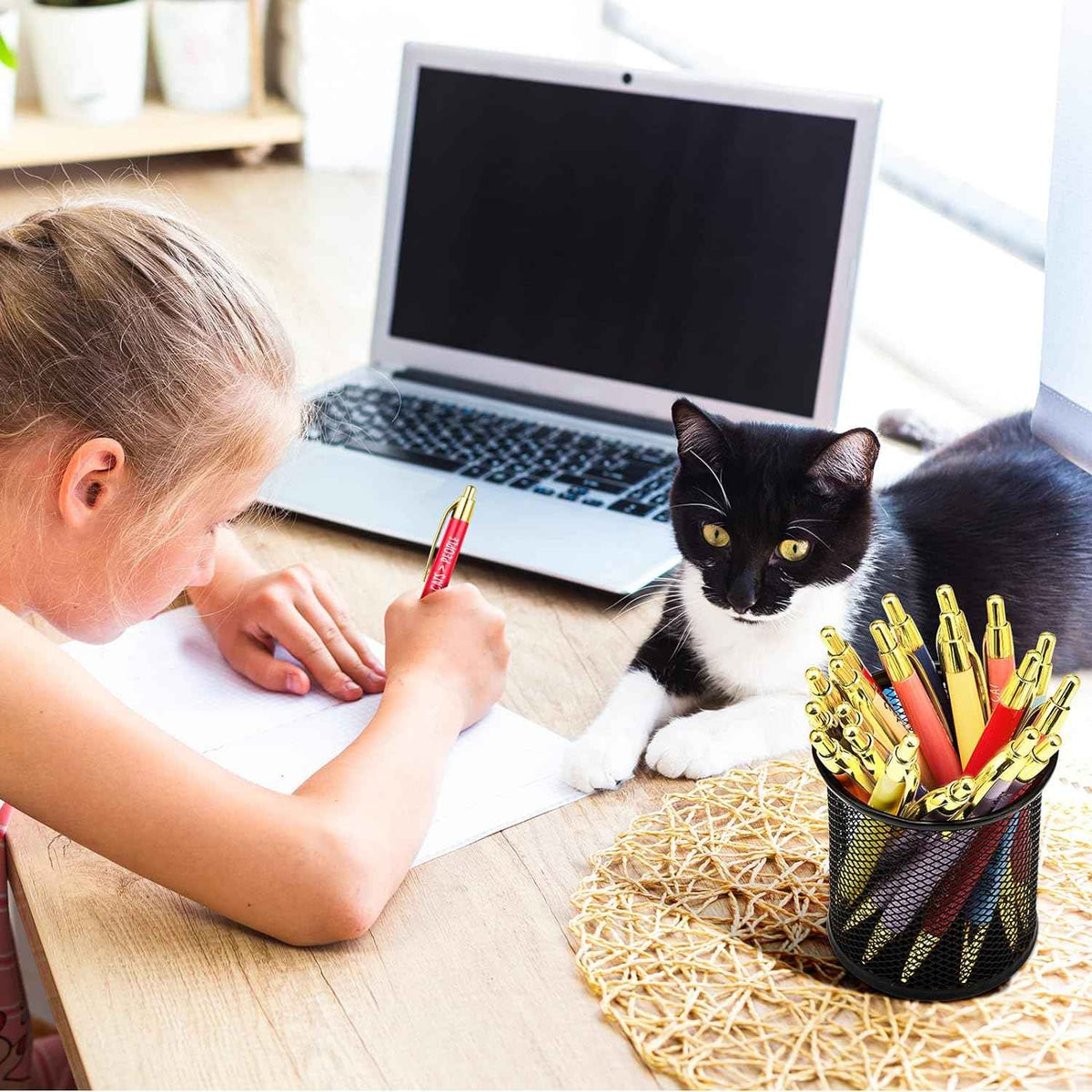 10pcs Cat Lovers Ballpoint Pen Set - TTpen