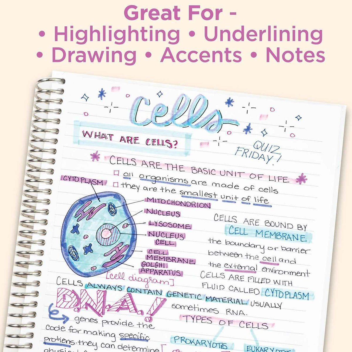 Zebra Mildliner Dual-Tip Highlighter Marker Pens Set,25 Colors