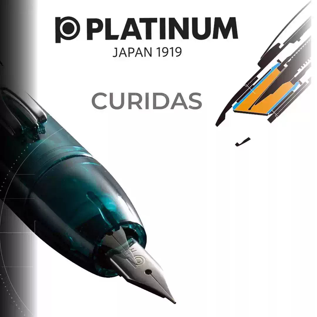 Platinum Curidas Knock-Type Fountain Pen