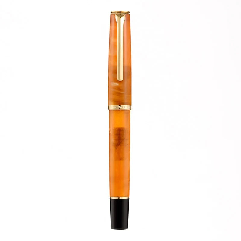 Hongdian N12 Piston Fountain Pen Fine Soft Nib Acrylic Design